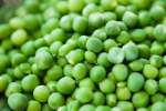 peas | Classpop Shot