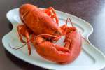 whole lobster | Classpop