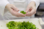 Chef tearing green leaf lettuce | Classpop Shot