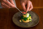 plating avocado and chard benedict | Classpop Shot