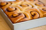 Cinnamon Honey Buns | Classpop Shot