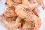 shrimp | Classpop