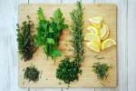 assorted herbs | Classpop Shot