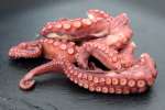 octopus | Classpop Shot