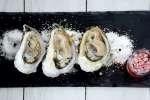 oysters on the half shell | Classpop Shot