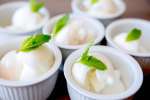 coconut sorbet | Classpop Shot