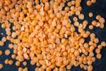 yellow lentil beans | Classpop
