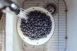 washing blueberries | Classpop Shot