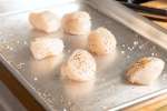 preparing scallops to cook | Classpop Shot