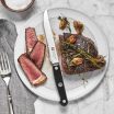 Zwilling Gourmet 4-Piece Steak Knife Set 5