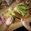 WÜSTHOF Gourmet 3-Piece Starter Knife Set 2