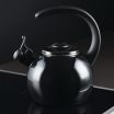 Circulon Enamel on Steel 2-Quart Teakettle Black
