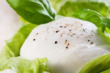 Homemade Mozzarella