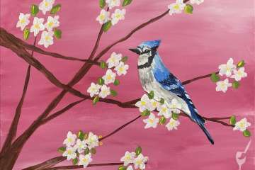 Bluebird at Sunrise - Pasadena