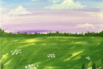 Summer Sunset in the Meadow