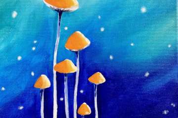 Butterflies and Mushrooms