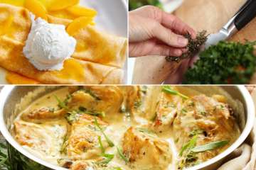 Discover French Cuisine