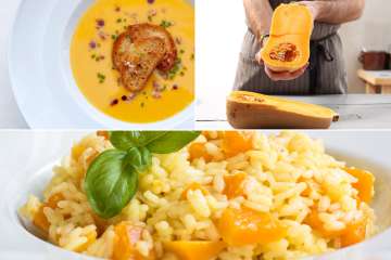 Explore Squash and Pumpkin Recipes