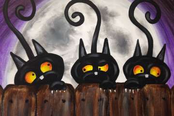 Scaredy Cats