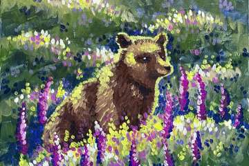 Bear in a Meadow