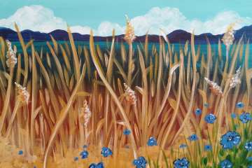 Blue Flower Fields - Houston