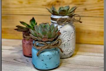 Paint and Plant Succulents - Brick