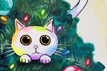 Twinklefur - Rancho Santa Margarita