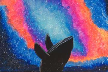 Splash in the Cosmos - Houston