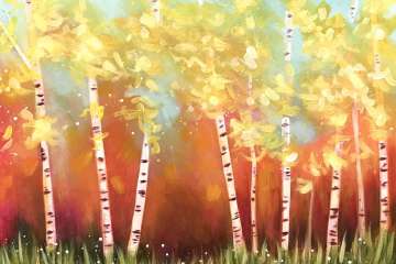 Aspens in Autumn