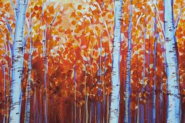 Birch Trees with Fall Foilage