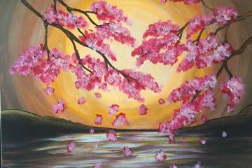 Cherry Blossoms