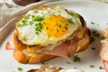 Make a Monte Cristo From Scratch