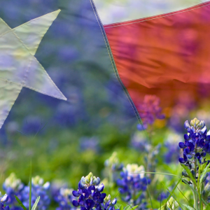 29 Top-of-the-Line Texas Gifts for 2025
