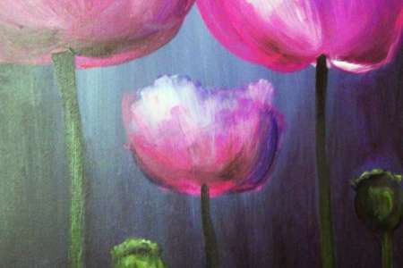 Spring Tulips - Chicago