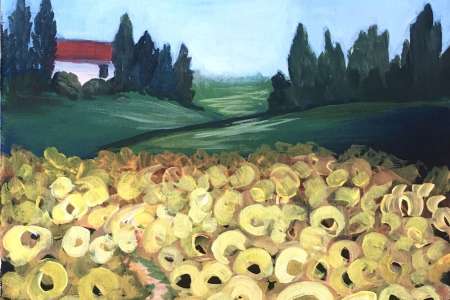 Tuscan Sunflower Fields