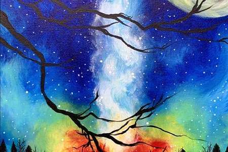 Nocturnal Palette