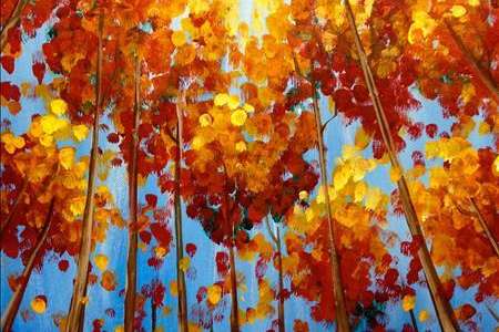 Sunlight in Fall Trees