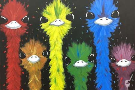 Colorful Ostriches