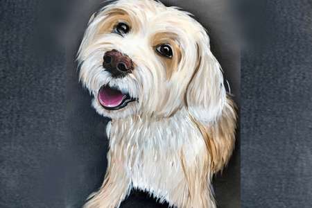 The Artistic Animal Lover