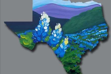 Don’t Mess With Texas Flowers