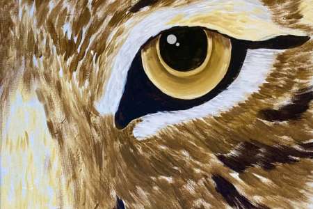 The Eye of the Bobcat