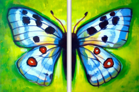 Beautiful Butterfly Symetry
