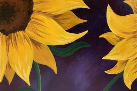 Vibrant Sunflower Blooms