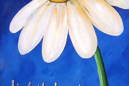 The Beauty of a Daisy