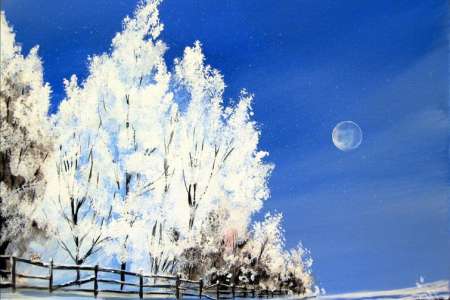 The Pathway to a Winter Wonderland