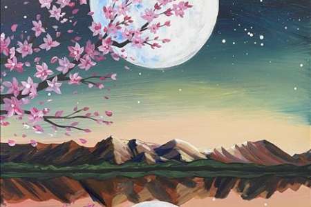 Lovely Cherry Blossoms