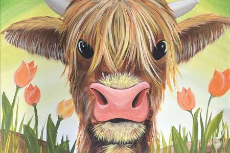 Highland Calf in Spring