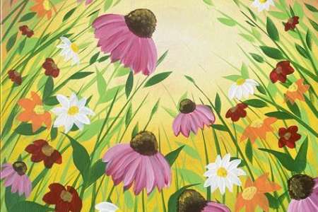 Colorful Wildflower Field