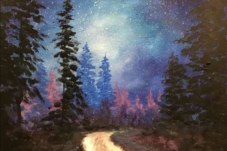 Forest Night Sky and Starlight