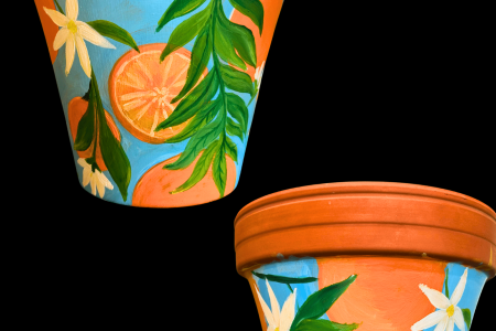 Paint Your Own Flower Pot
